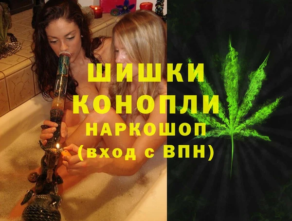 spice Волосово