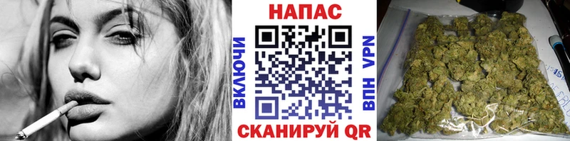 Купить  Буй  Бошки марихуана сатива 
